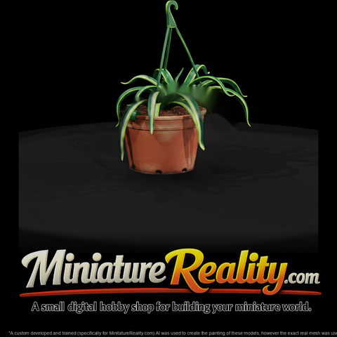 Hanging Potted Spider Plant
