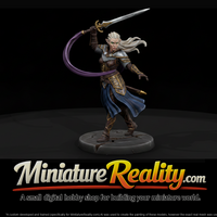 Elf Blademaster with Trailing Sash — thumbnail 1
