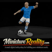 sport-09-soccer-striker-6ea56a — thumbnail 1