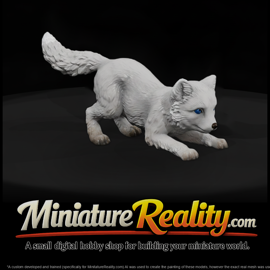 Prowling Arctic Fox