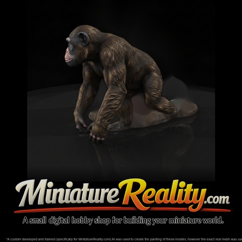 Ant 193 Chimpanzee Male
