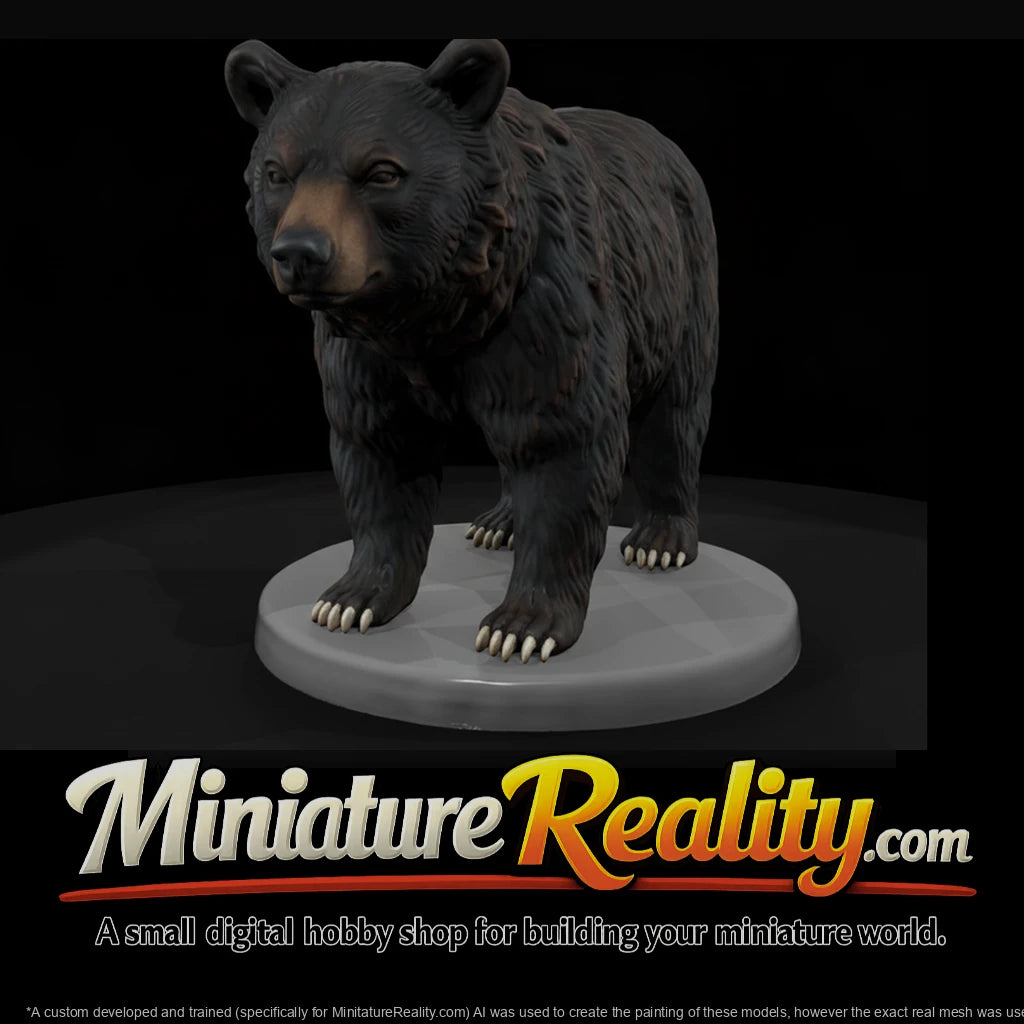 anim-36-black-bear-3df803