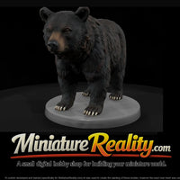 anim-36-black-bear-3df803 — thumbnail 1