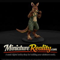 Boxing Kangaroo in Green Overalls — thumbnail 1