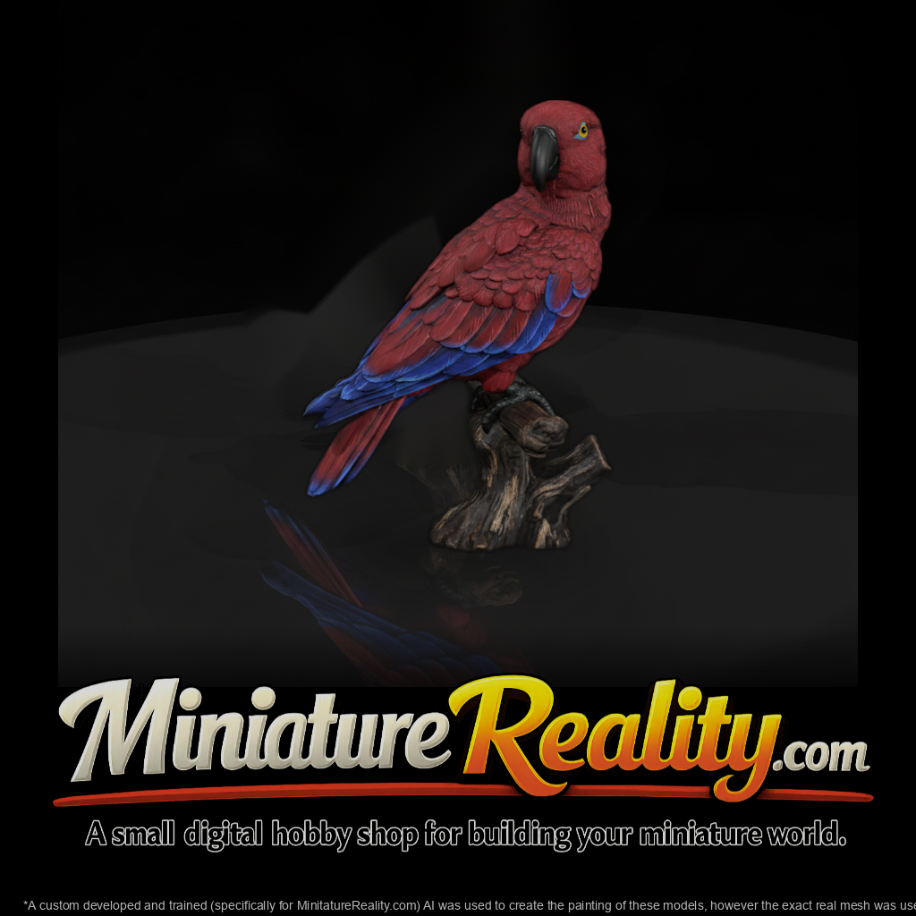 Ant 134 Eclectus Parrot Female