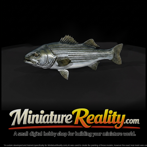 Striped Bass — & Model Railroads