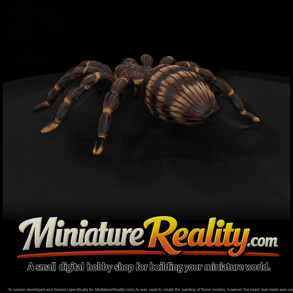 Ww 0339 Animal Tarantula