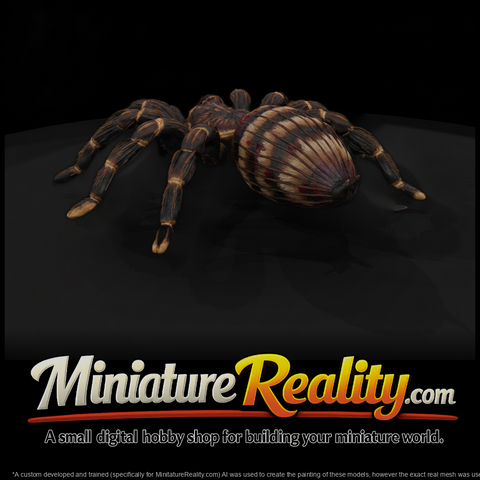 Ww 0339 Animal Tarantula
