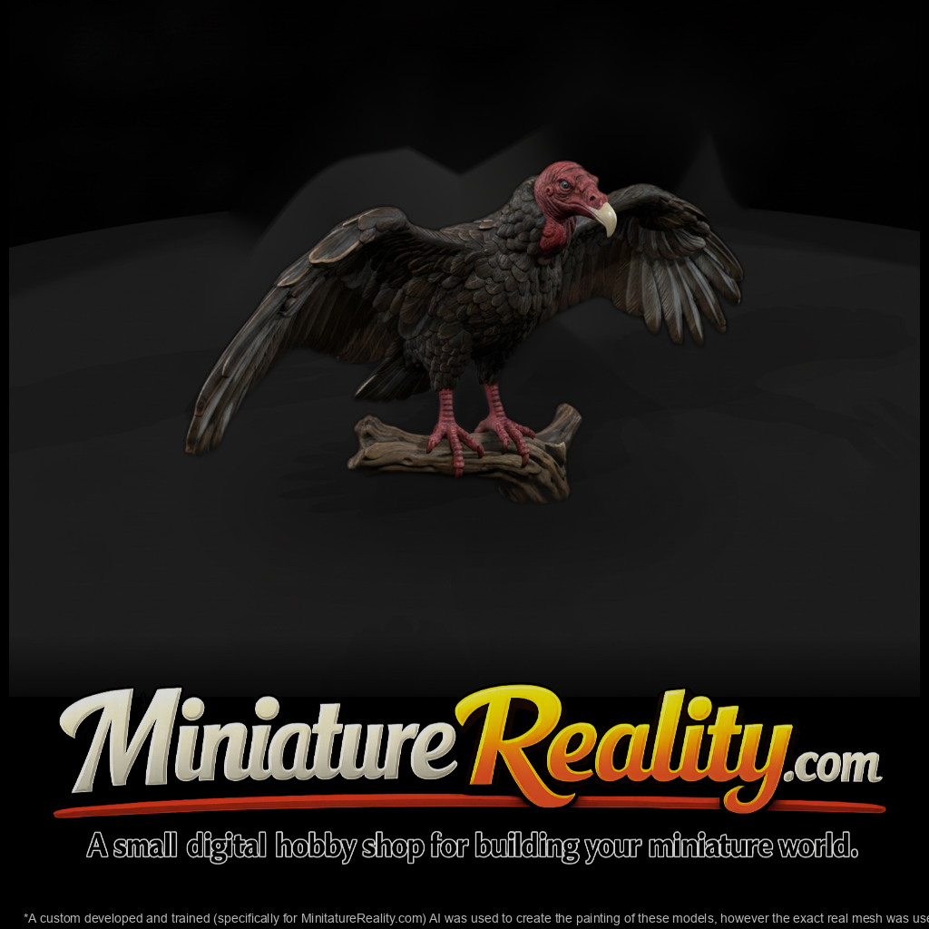 Ww 0344 Animal Turkey Vulture