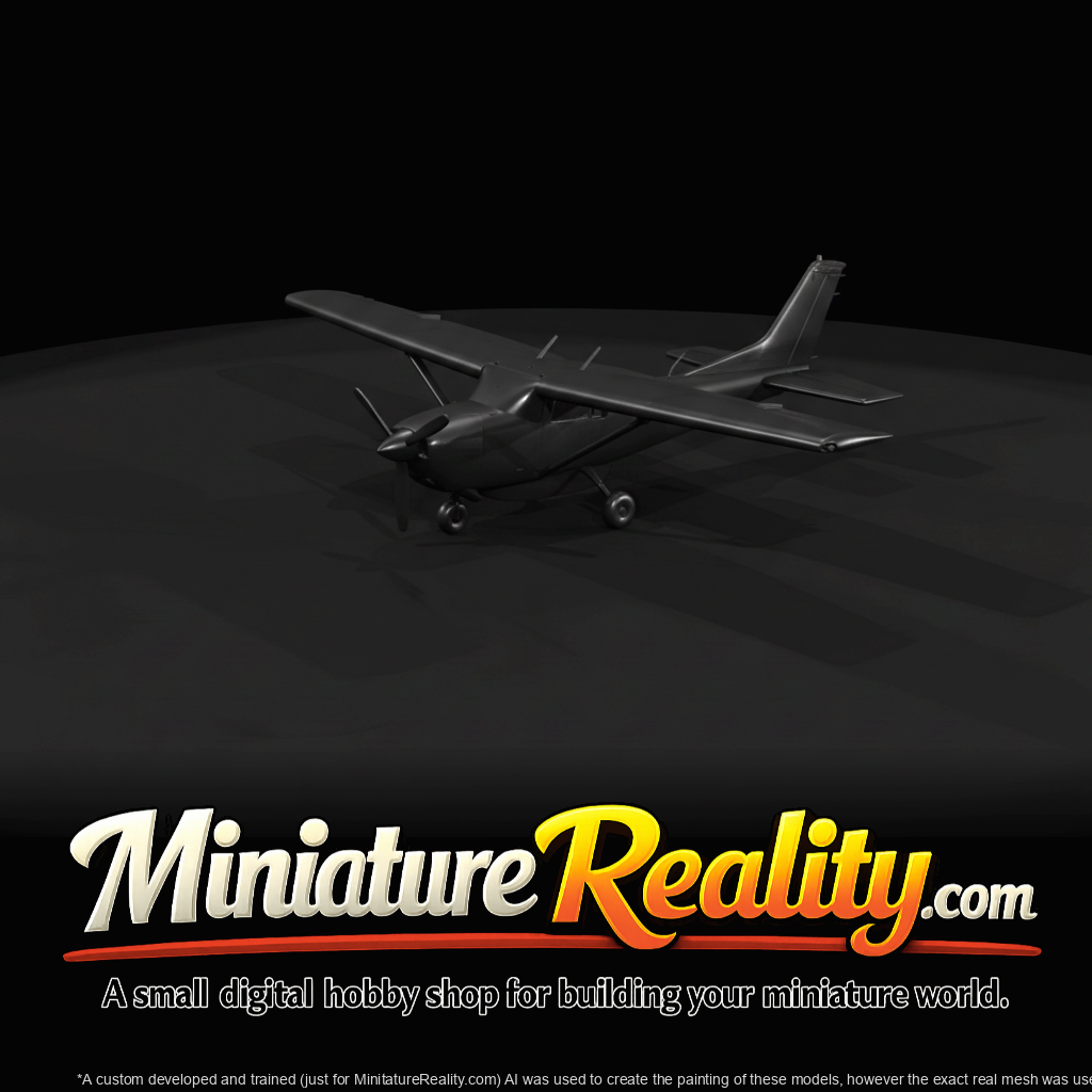 Cessna 206 (2025)