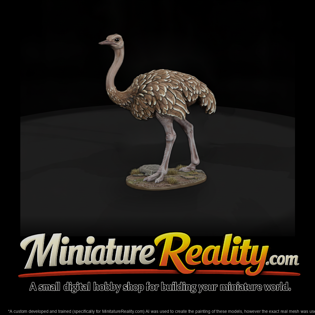Ant 083 Ostrich Female