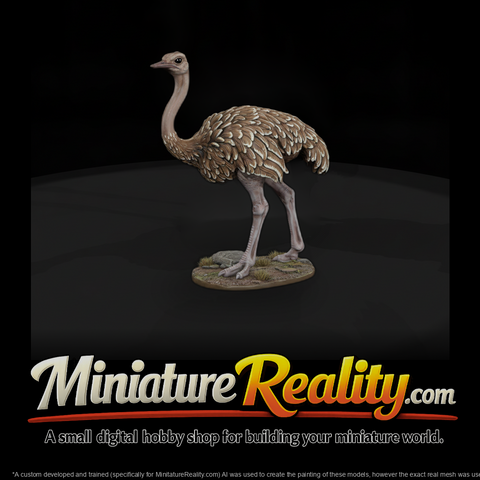 Ant 083 Ostrich Female