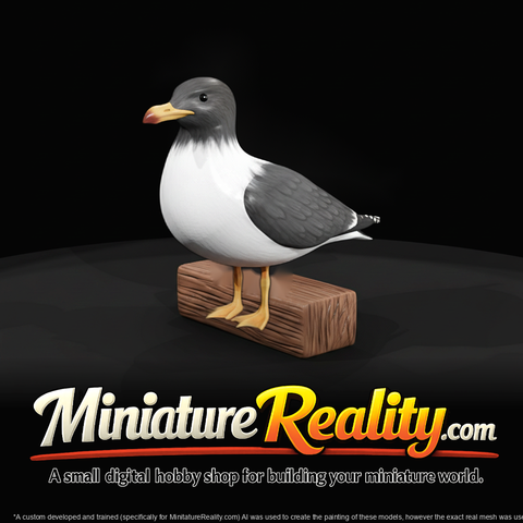Seagull