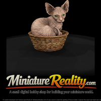 a-collection-of-housecats-sphynx-b06c75ad-meshref — thumbnail 1