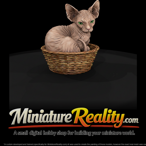 a-collection-of-housecats-sphynx-b06c75ad-meshref
