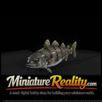Spotted Drum Fish miniature, three-quarter view — thumbnail 2