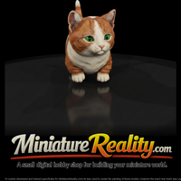 a-collection-of-housecats-munchkin-e876df2e-meshre — thumbnail 1