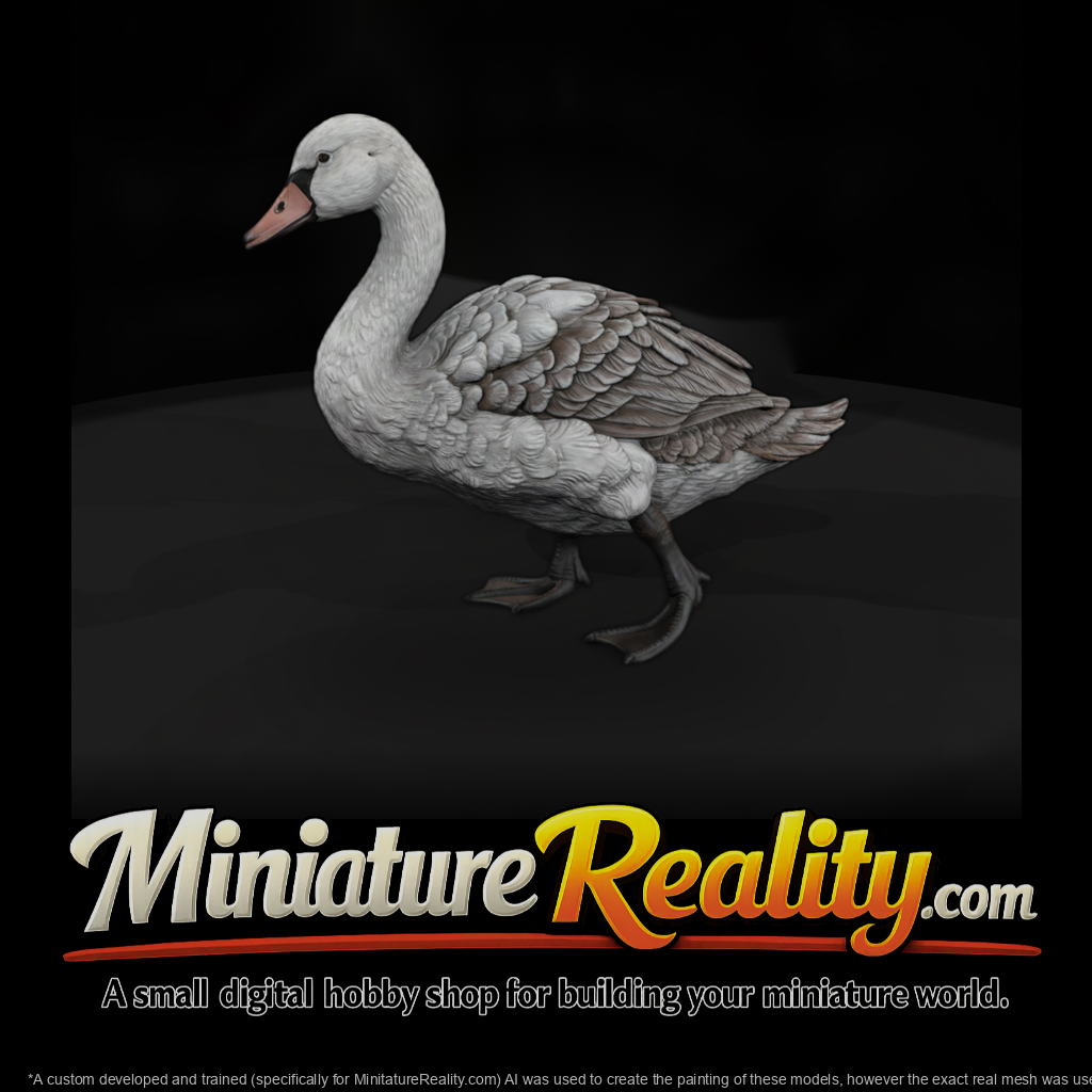 Walking Mute Swan