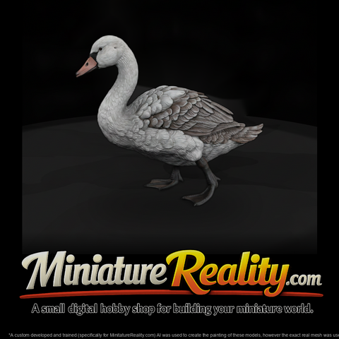 Walking Mute Swan