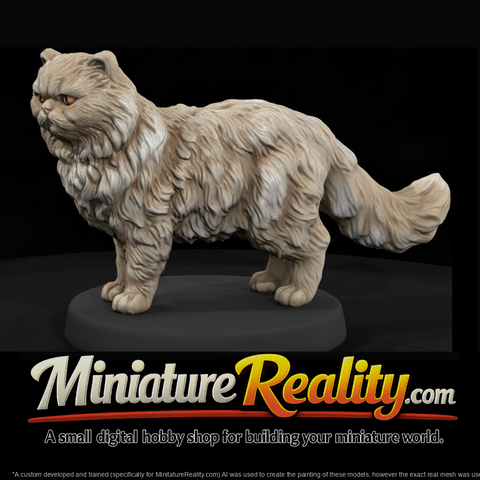 Longhair Persian Cat