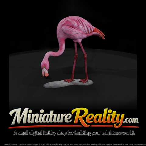 Ant 128 Greater Flamingo Female