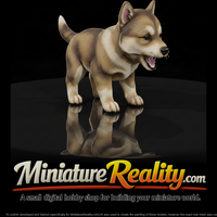 Husky Puppy miniature, three-quarter view — thumbnail 1