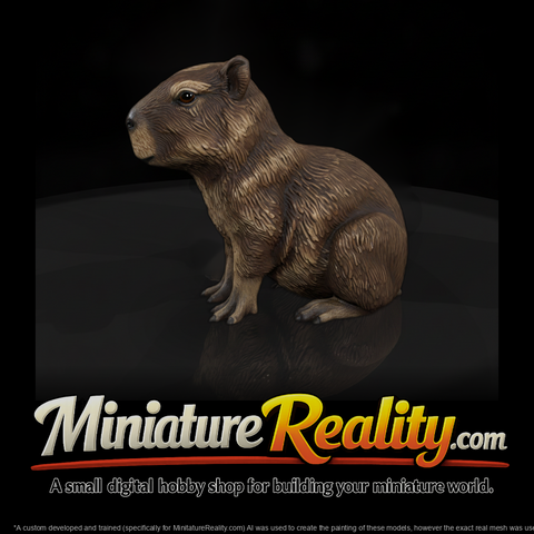 Young Capybara