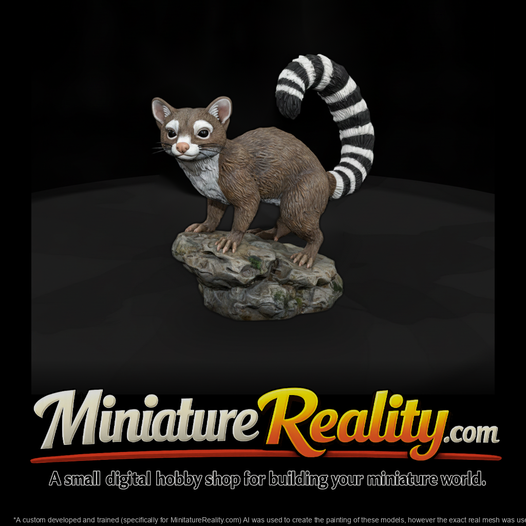 Ww 0327 Animal Ringtail