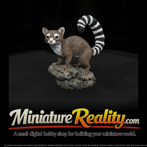 Ww 0327 Animal Ringtail