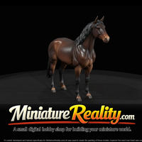 bay-horse — thumbnail 3