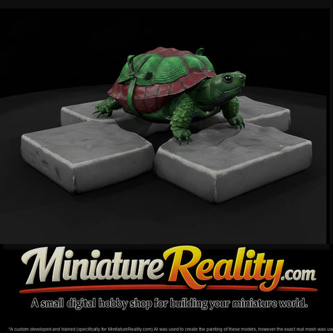stylized-box-tortoise-3d-model-c5aktigk-67a07e