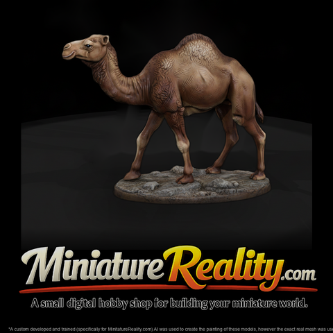 Ant 215 Dromedary Camel Female