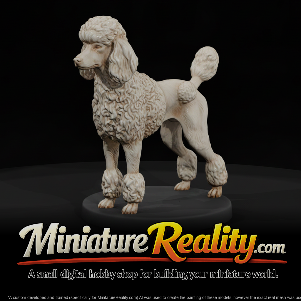 Standing Standard Poodle
