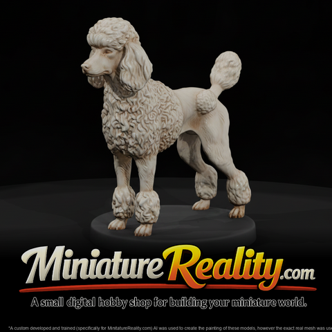 Standing Standard Poodle