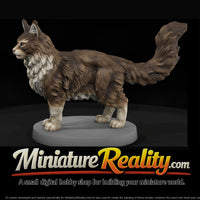 anim-16-maine-coon-cat-4bc6da — thumbnail 1