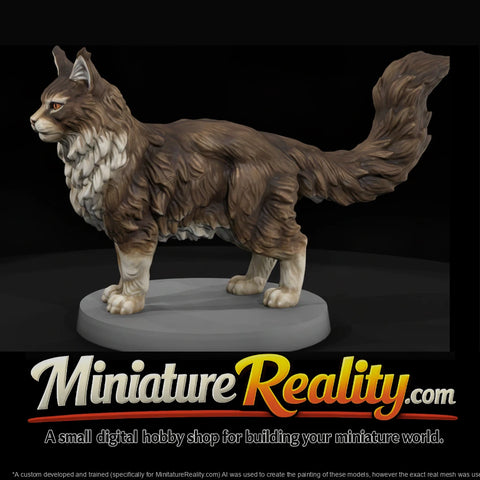 anim-16-maine-coon-cat-4bc6da