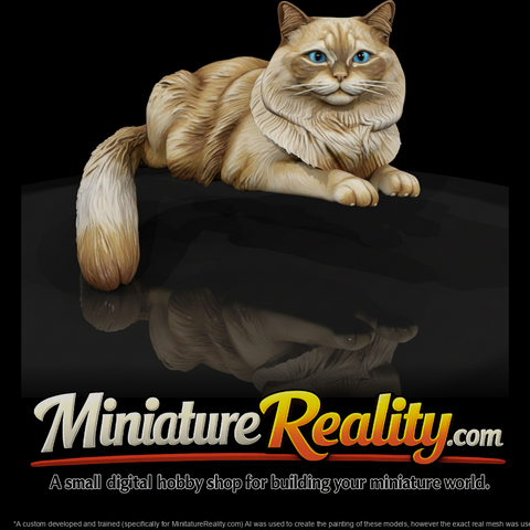 a-collection-of-housecats-himalayan-db334165-meshr