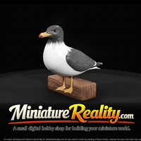 seagull — thumbnail 2