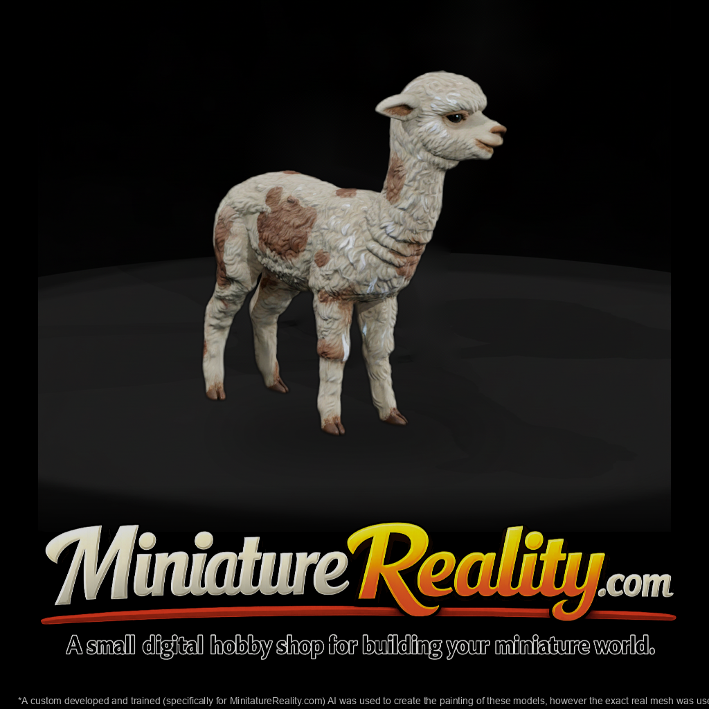 Young Alpaca