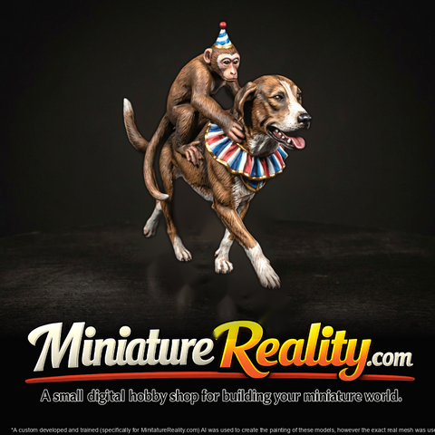Circus Monkey Riding a Running Dog