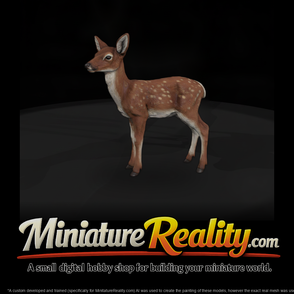 Young Spotted Deer Fawn Standing