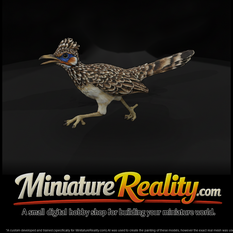 Ww 0348 Animal Roadrunner