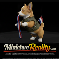Corgi Puppy in Harness with Ribbon — thumbnail 1