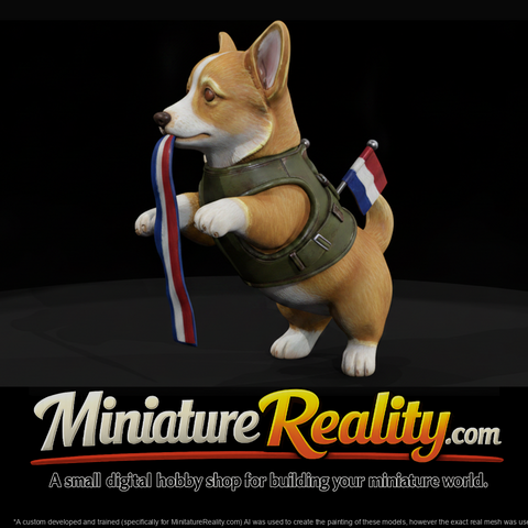 Corgi Puppy in Harness with Ribbon