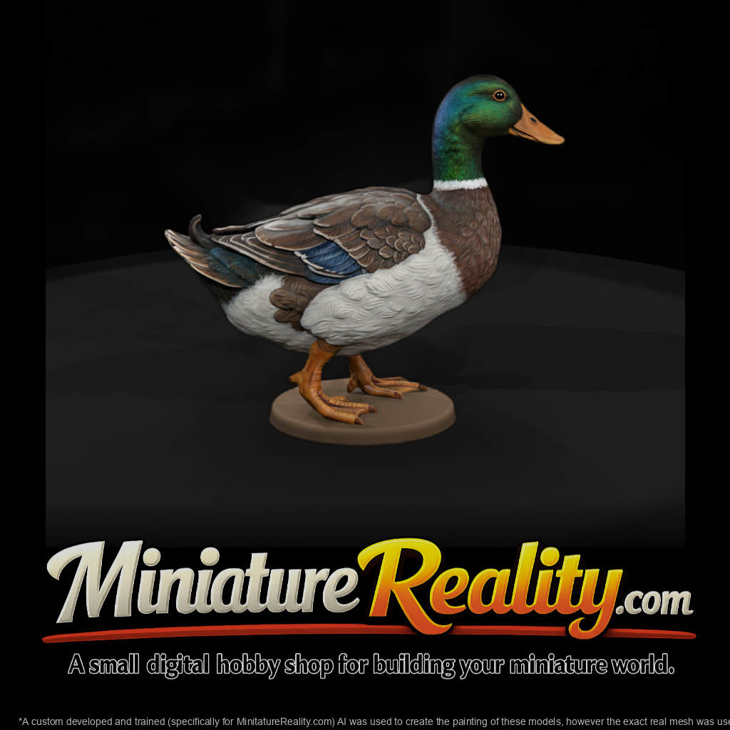 Ww 0310 Animal Duck