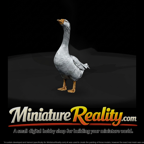 Standing Domestic Goose