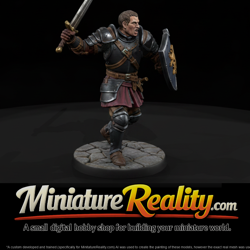 Human Fighter with Sword and Shield