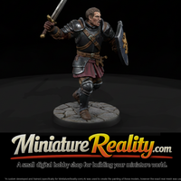 Human Fighter with Sword and Shield — thumbnail 1