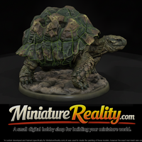 Armored Rock Tortoise — thumbnail 1