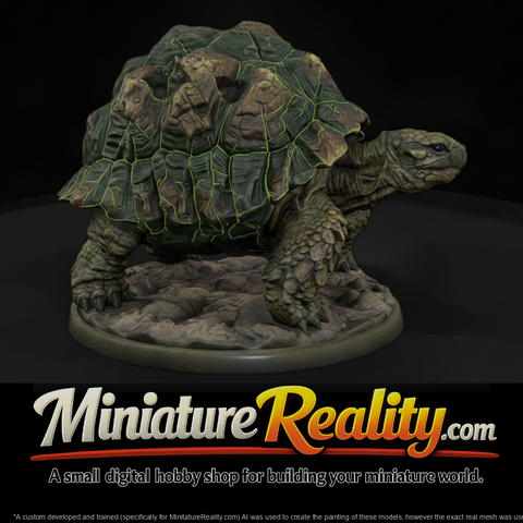 Armored Rock Tortoise